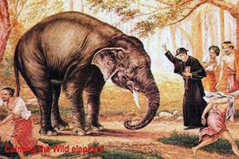 st joseph vaz elephant