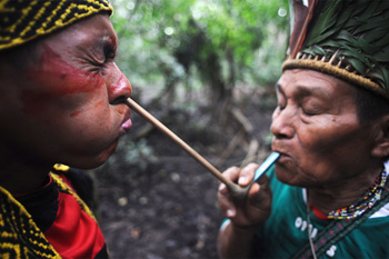 Amazonian culture