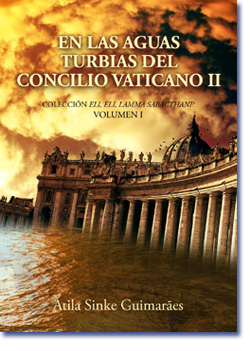 En las aguas turbias del Concilio Vaticano II