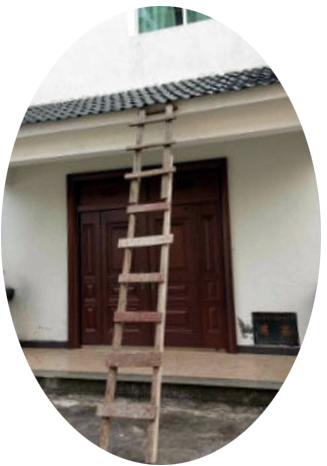 ladder